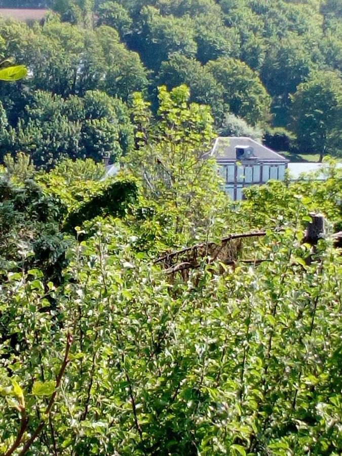 12 Impasse Damilaville Étretat Buitenkant foto