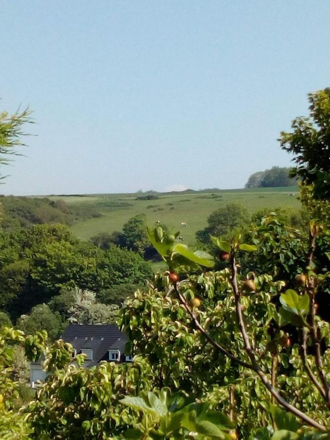12 Impasse Damilaville Étretat Buitenkant foto